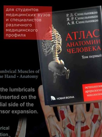 синельников атлас анатомии человека Фолиант книжный