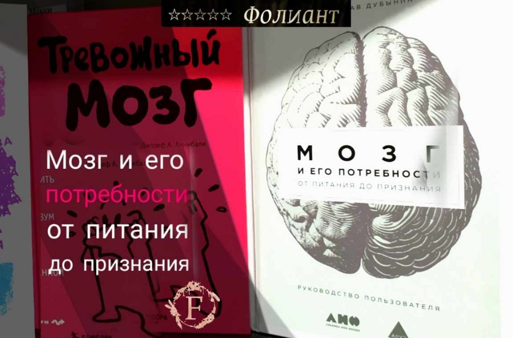 Мозг и его потребности книги по психологии в Фолиант Бишкек Вячеслав Дубынин