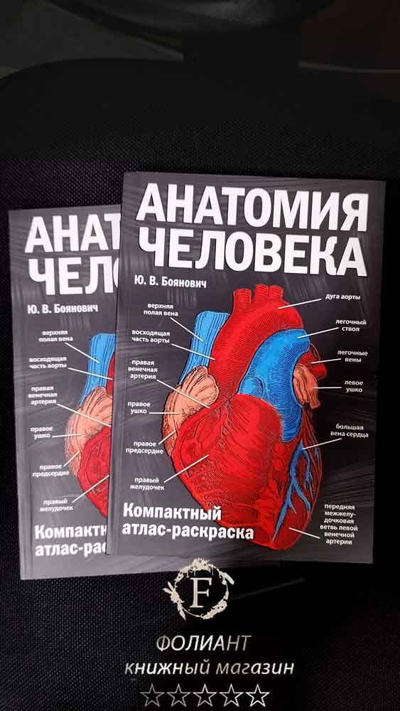 Боянович Анатомия человека в магазине Фолиант Бишкек Компактный атлас раскраска