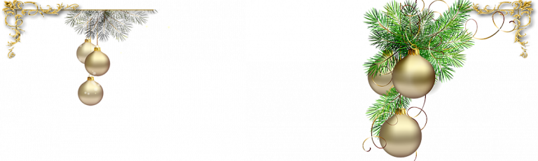 Foliant books Bishkek store in december prep for 2024