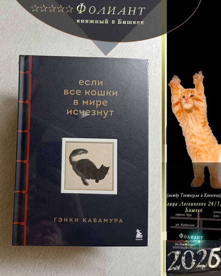 Книжный магазин Фолиант база книг если все кошки в мире исчезнут